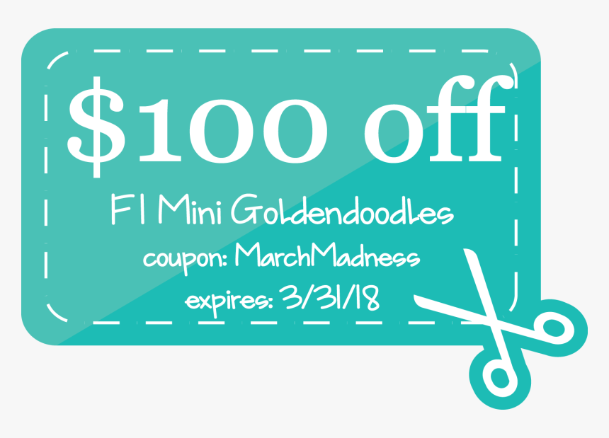 Blue Gift Coupon Vector [converted] Mini Doodle Dogs - Graphic Design, HD Png Download
