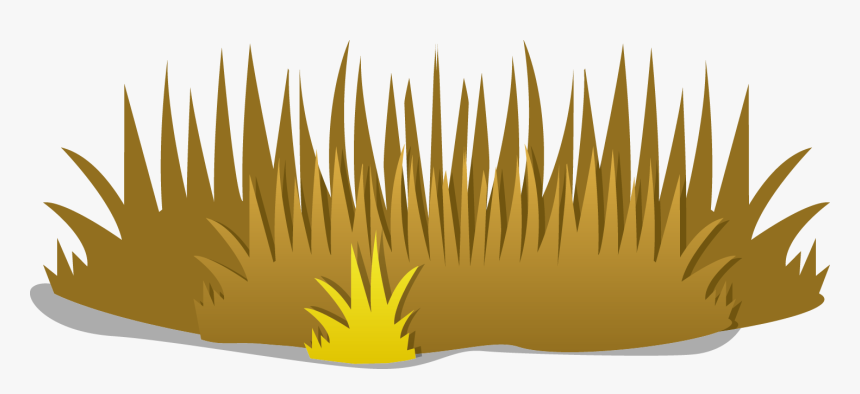 Dry Clipart Group - Dry Grass Clip Art, HD Png Download