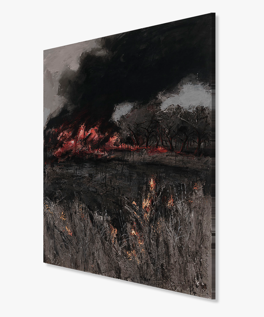 Floral Design, HD Png Download