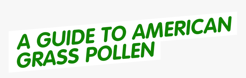 American Grass Pollen Allergy Guide From Zyrtec® - Musica De Avatar, HD Png Download