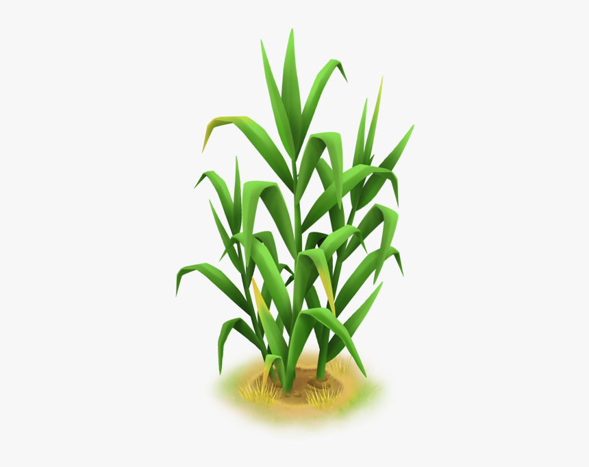 Hay Day Wiki - Grass, HD Png Download