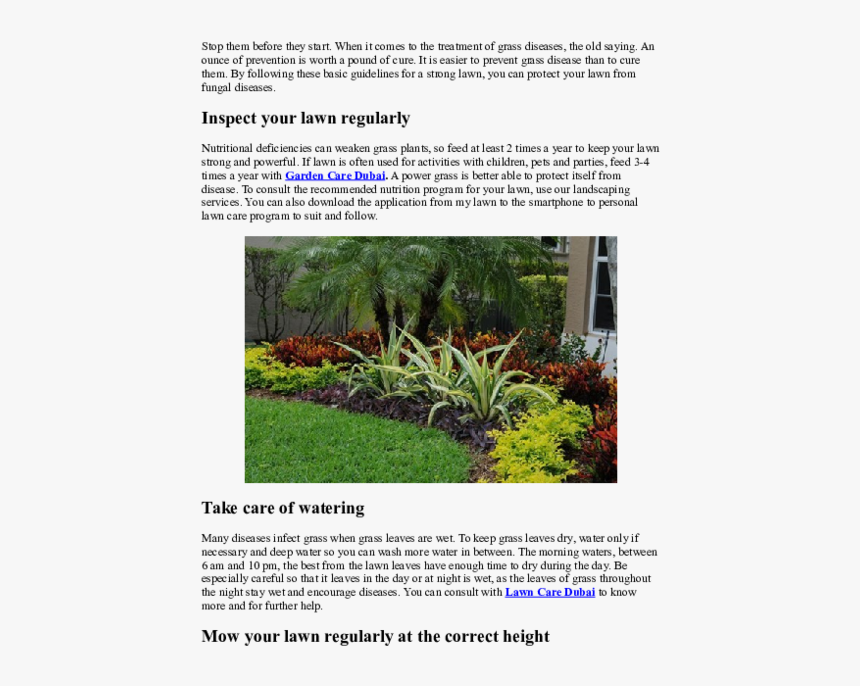 Bellos Jardines Pequeños Tropicales, HD Png Download