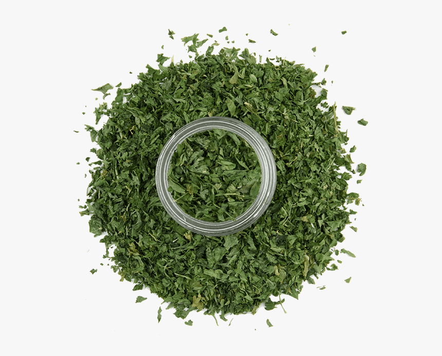 Parsley Flakes 3 - Grass, HD Png Download
