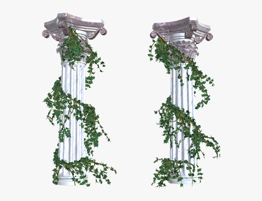 Vines Transparent Png , Png Download - Greek Columns With Vines, Png Download