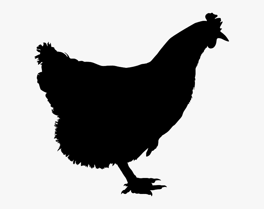 Silueta De Una Gallina, HD Png Download
