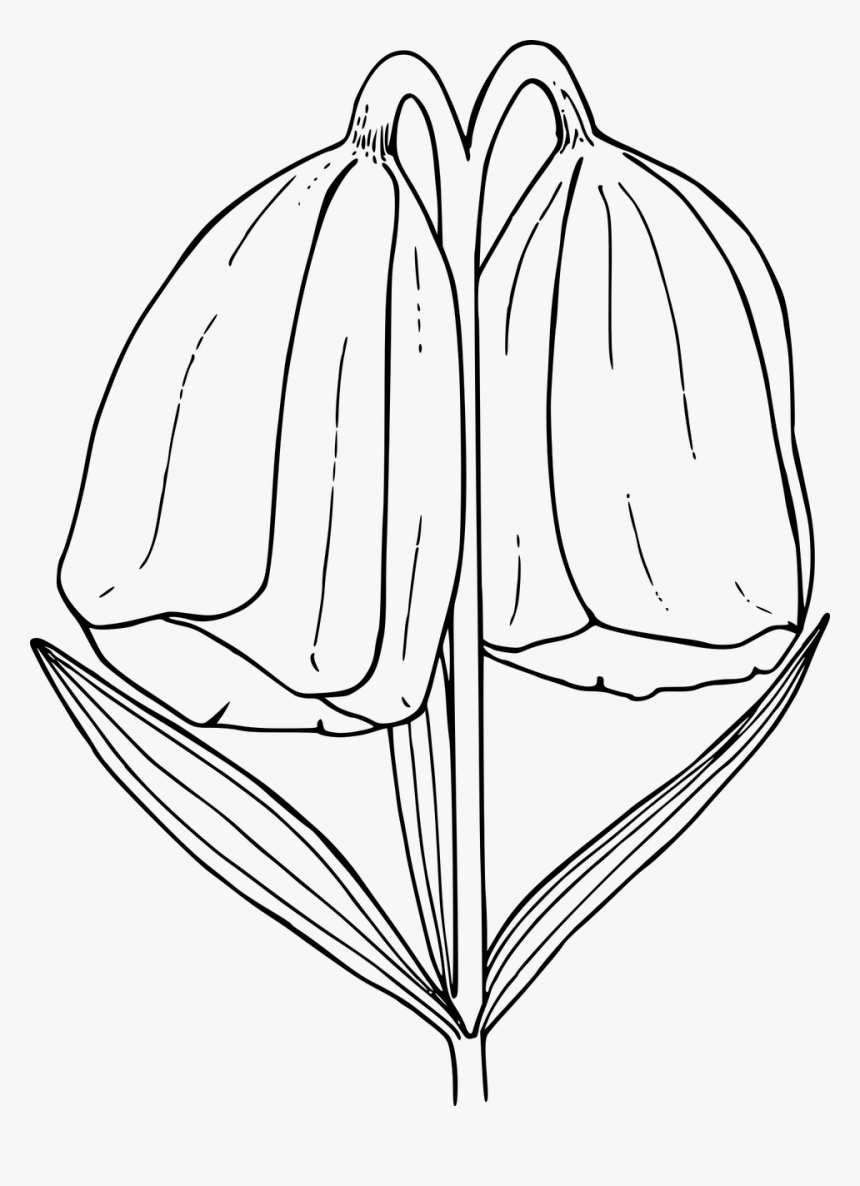 Yellowbell Clipart Black And White, HD Png Download