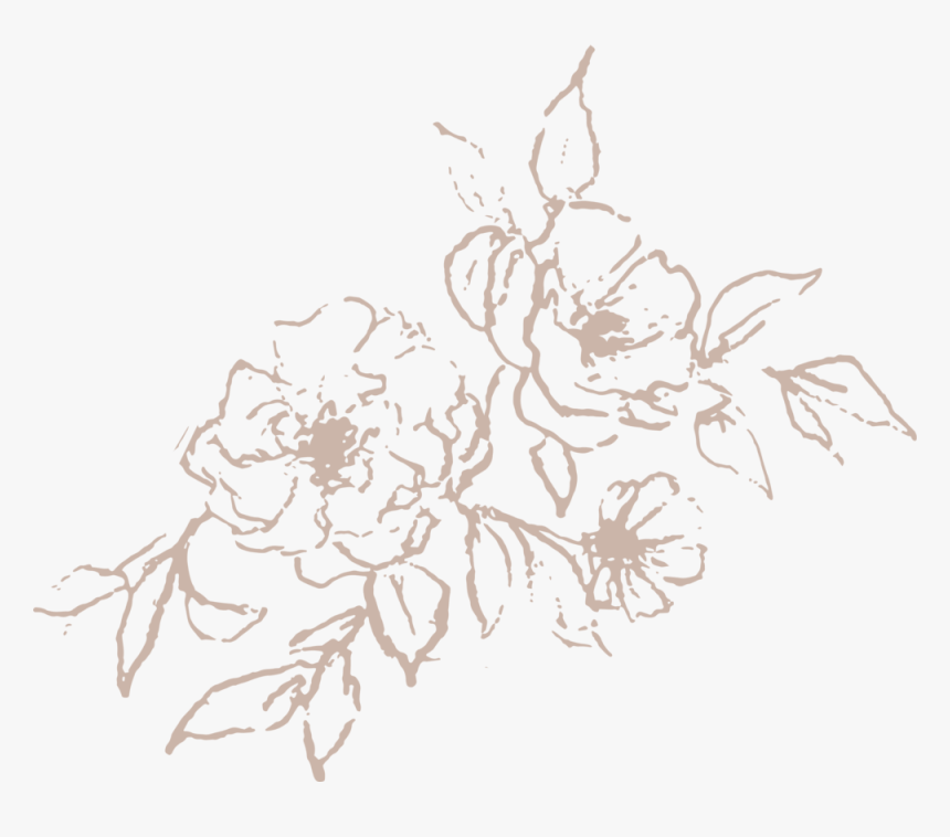 Mini Illustration Light Rose High Res - Honeysuckle, HD Png Download