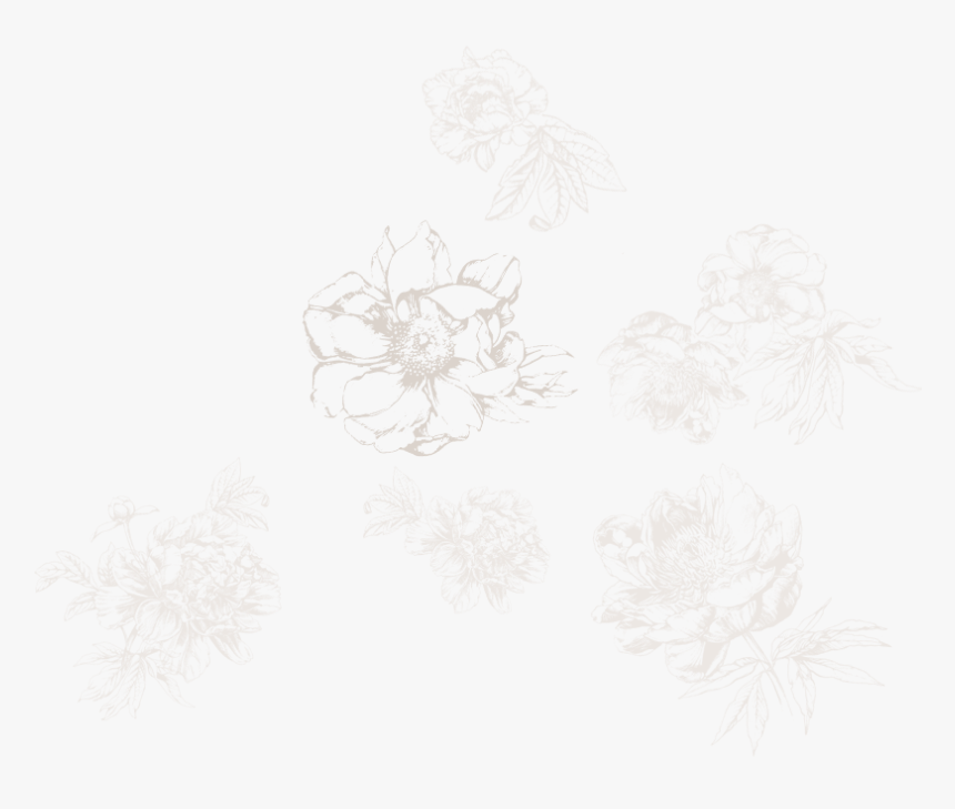 Sketch, HD Png Download