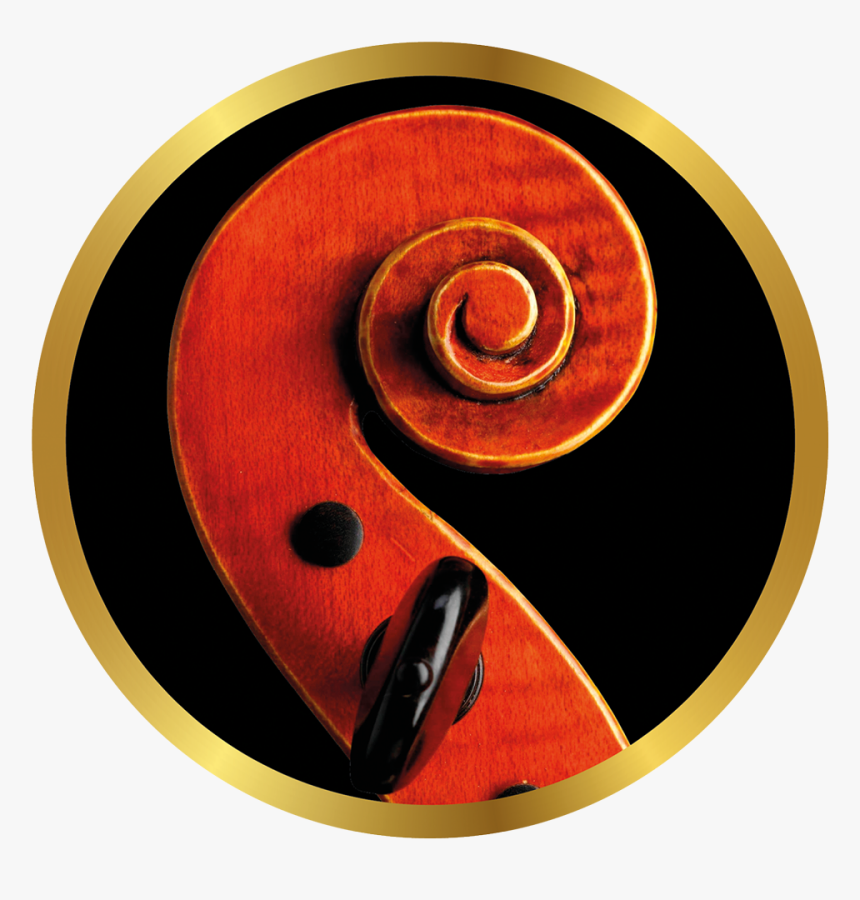 Violin Scroll, HD Png Download , Transparent Png Image - PNGitem