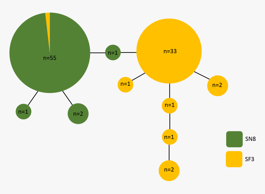 Diagram, HD Png Download
