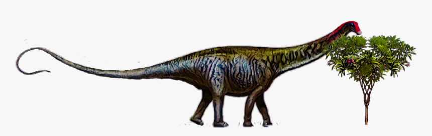 #dinosaur #brontosaurus - Brontosaurus Is Back, HD Png Download