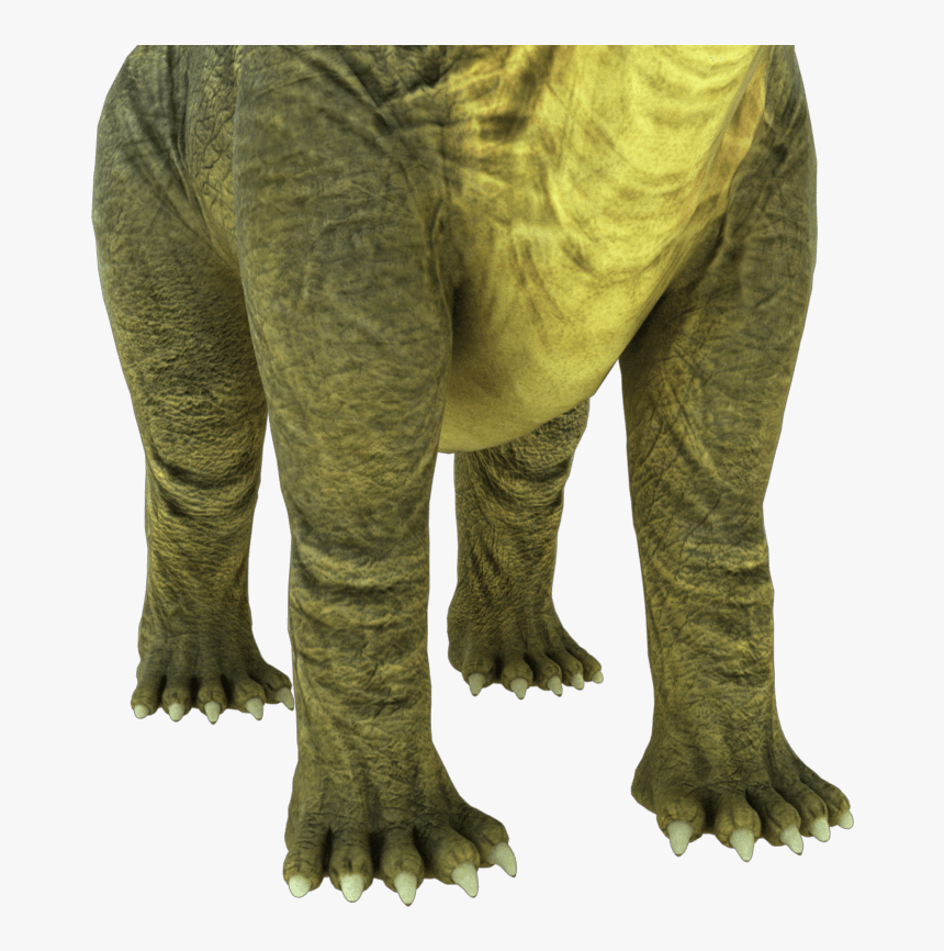 Brontosaurus Apatosaurus 3d Model - Terrestrial Animal, HD Png Download