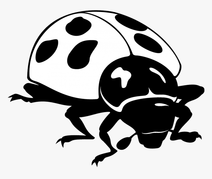 Ladybug Clipart - Трафарет Божь Каровка, HD Png Download
