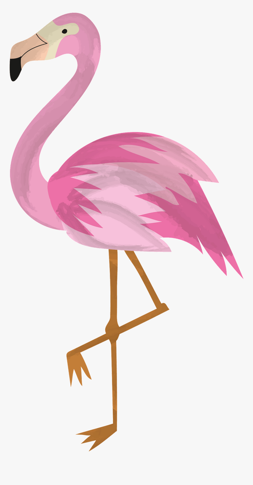 Flamingo Clipart, HD Png Download