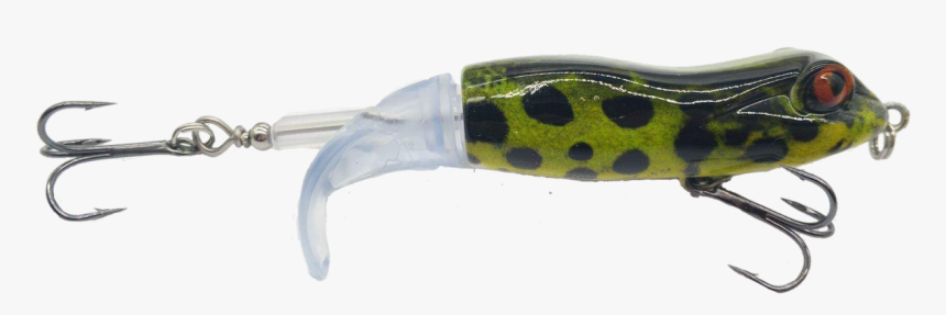 Green Pufferfish, HD Png Download