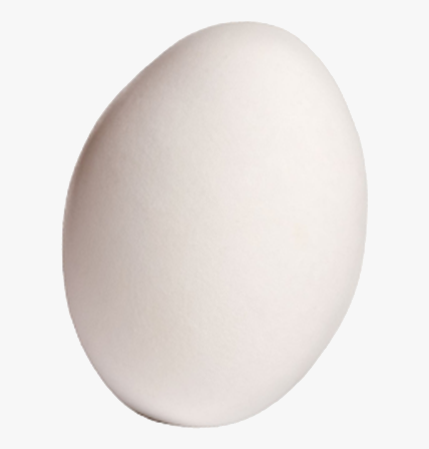 Domestic Goose Egg - Circle, HD Png Download