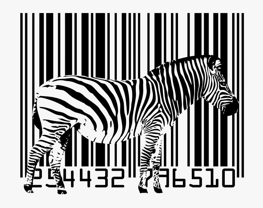 Tener En Cuenta El Tamaño Para No Perder Nuestro Código - Zebra Barcode, HD Png Download