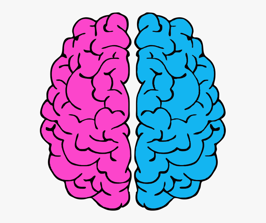 Cool Brain Drawings Png, Transparent Png