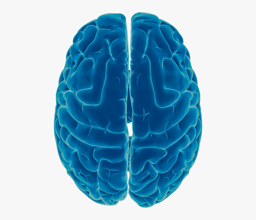 Medical, HD Png Download