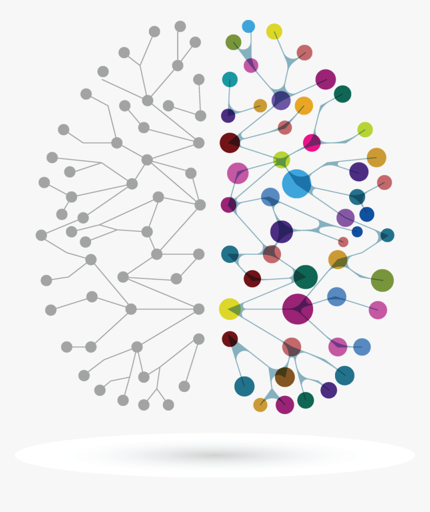 Brains Png, Transparent Png