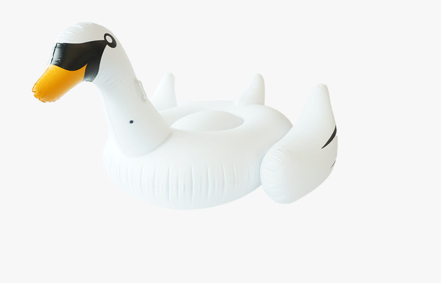 Duck, HD Png Download
