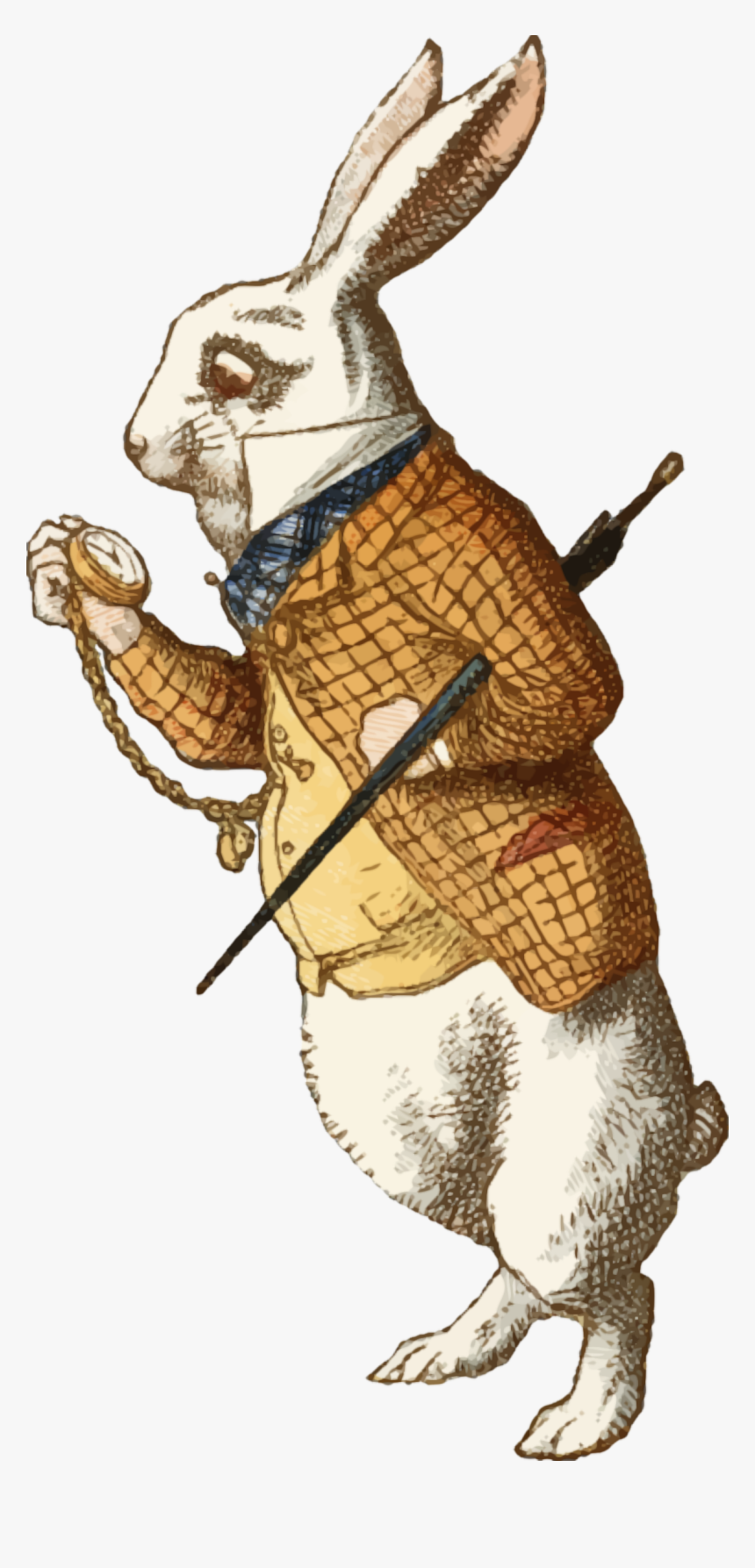 Alice In Wonderland White Rabbit Png White Rabbit Alice In Wonderland 