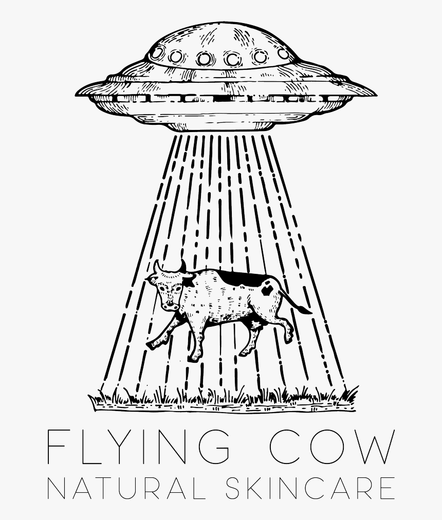 Ufo-logo - Illustration, HD Png Download