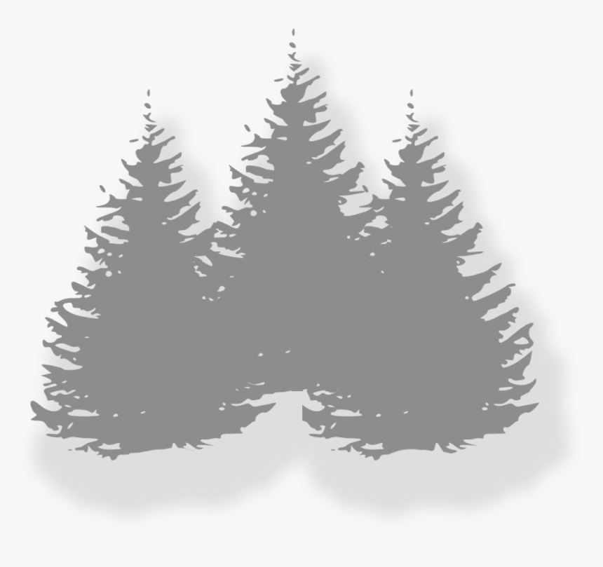 In The Woods Events - Pine Trees Clip Art, HD Png Download