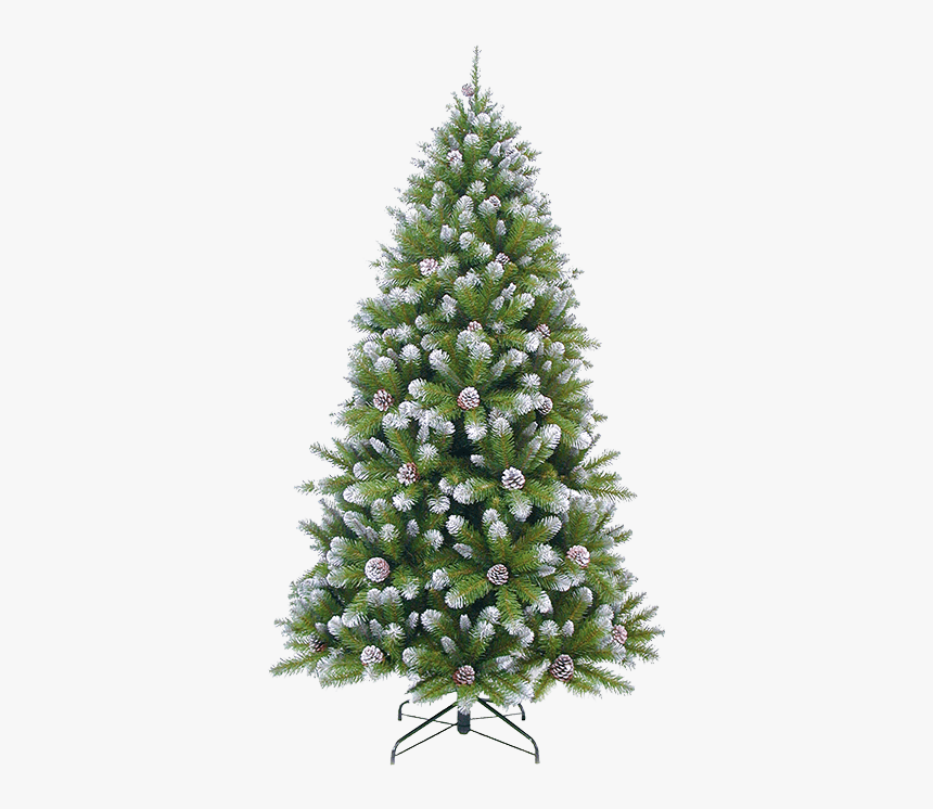 Christmas Tree Green Frosted, - Empress Spruce Frosted With Cones, HD Png Download