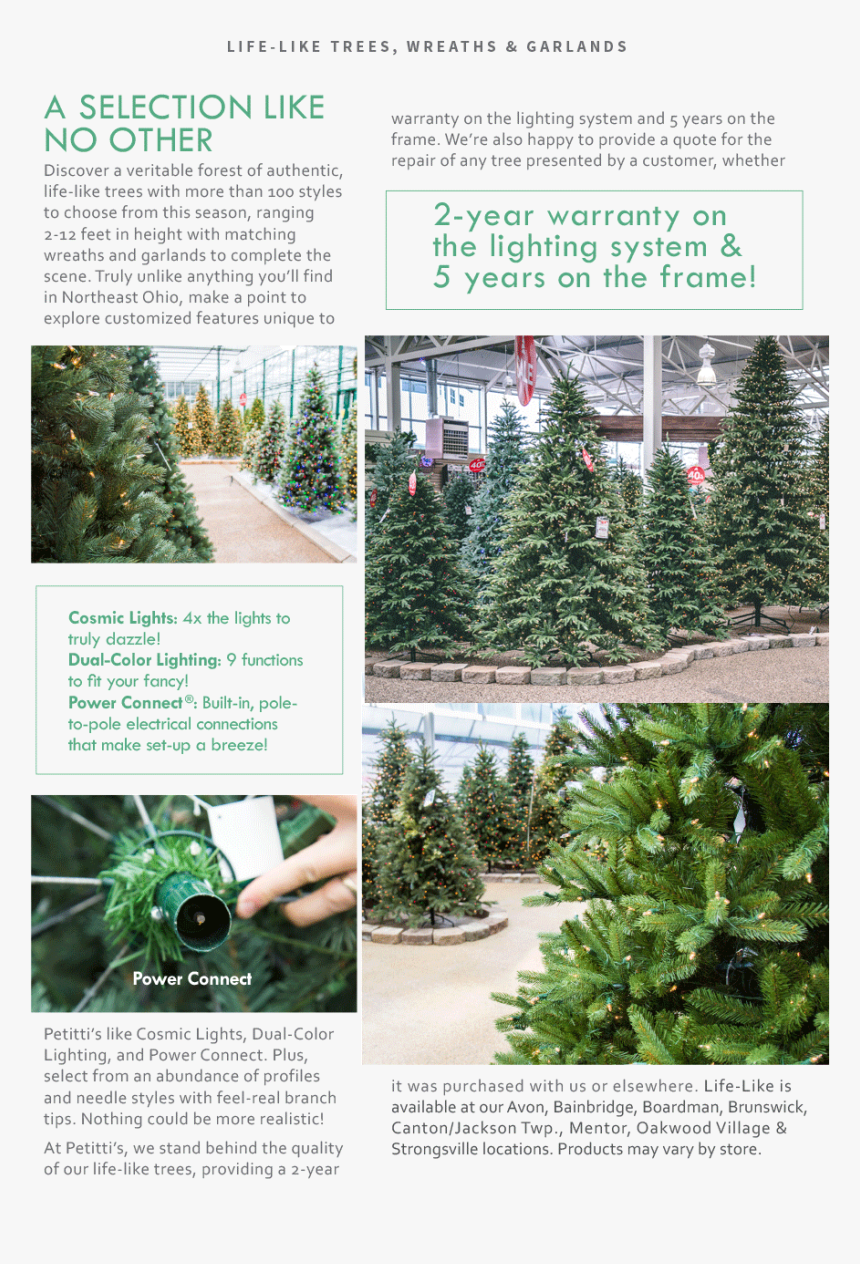 Colorado Spruce, HD Png Download