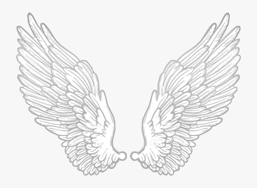 #wing #wings #angel #anglewings #white #alone #cute, HD Png Download