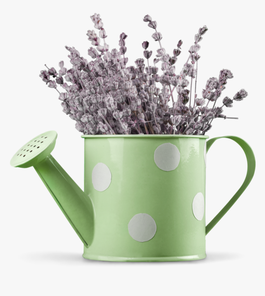 Lavender In Watering Can - Lavaner In Watering Can, HD Png Download