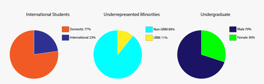 Domestid 77%, International 23%, Non-urm 89%, Urm 11%, - Circle, HD Png Download