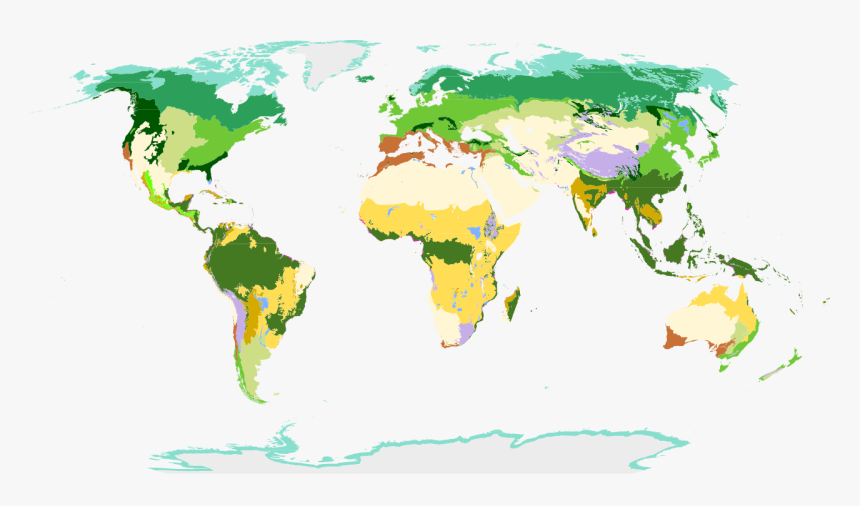 World Map, HD Png Download