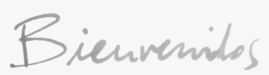 Bienvenidos - Calligraphy, HD Png Download