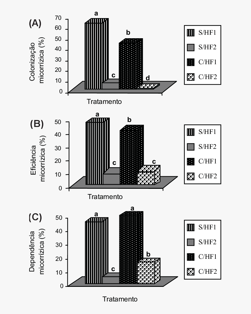 Skyscraper, HD Png Download