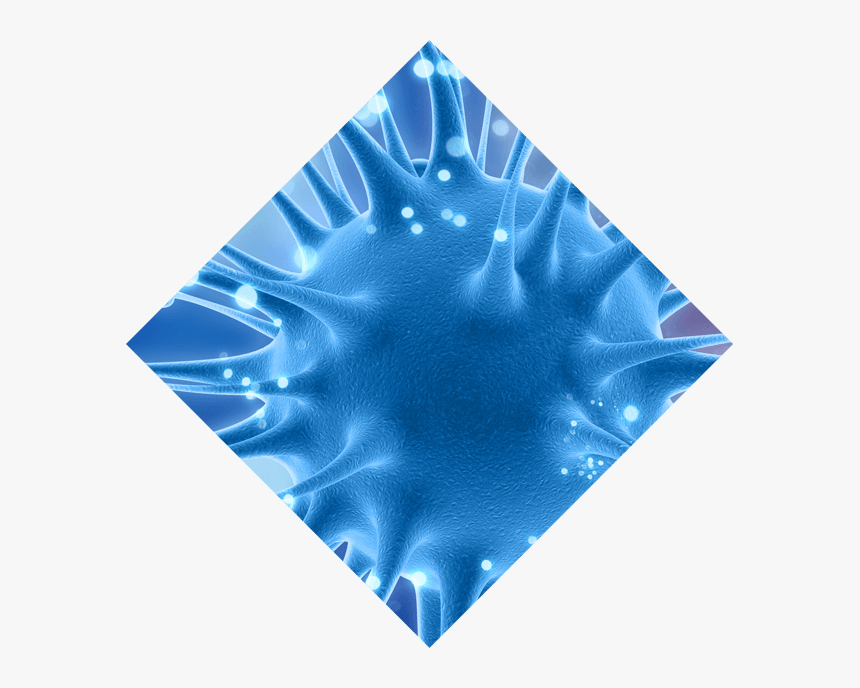 Transparent Chemicals Png - Skate, Png Download