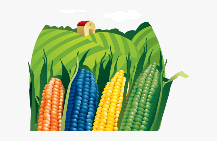 Transparent Corn Clipart Png - Maiz, Png Download