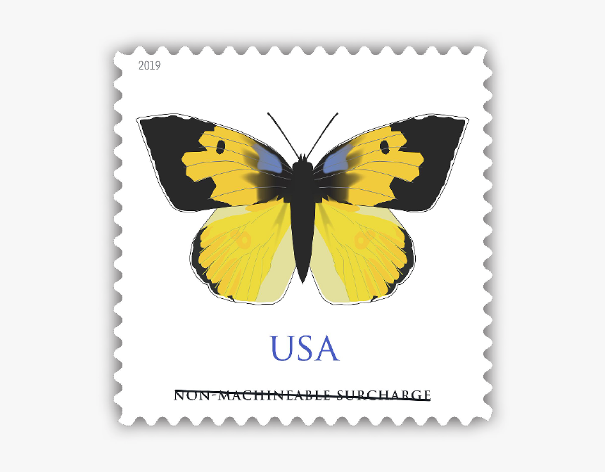 California Dogface Butterfly Stamp, HD Png Download