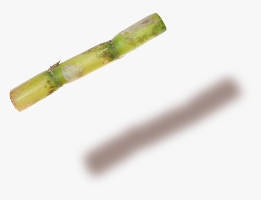 Sugarcane Copy - Amber, HD Png Download