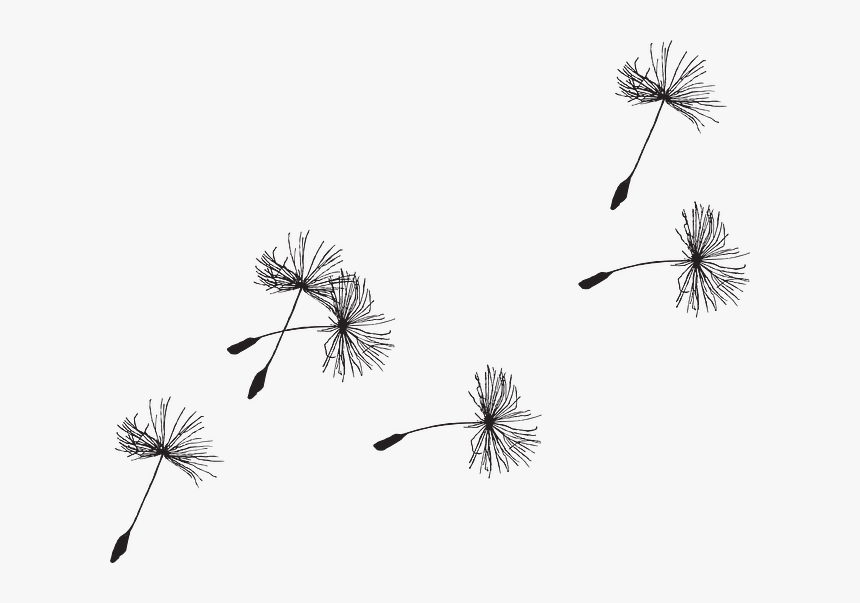Clip Art Dandelion Seeds - Tattoo Dandelion, HD Png Download