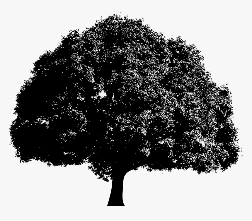 Thumb Image - Kids Background Vector, HD Png Download