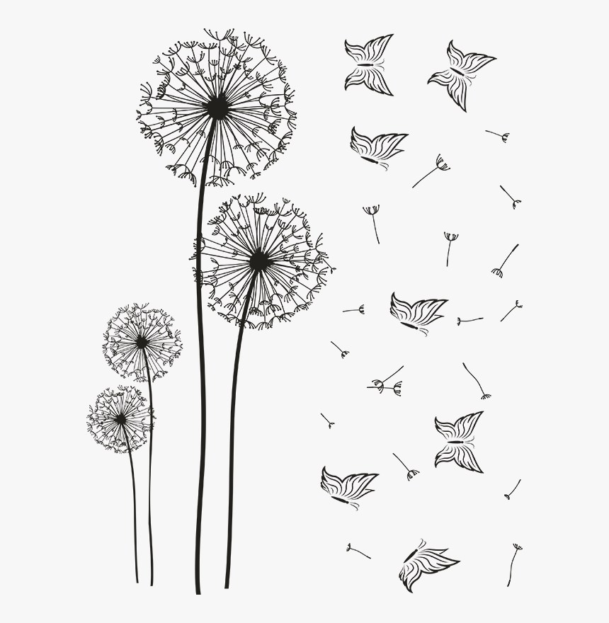 Dandelions Png, Transparent Png