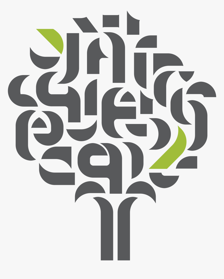 Woodforce Fibre Close Up - Sonae Arauco Png, Transparent Png