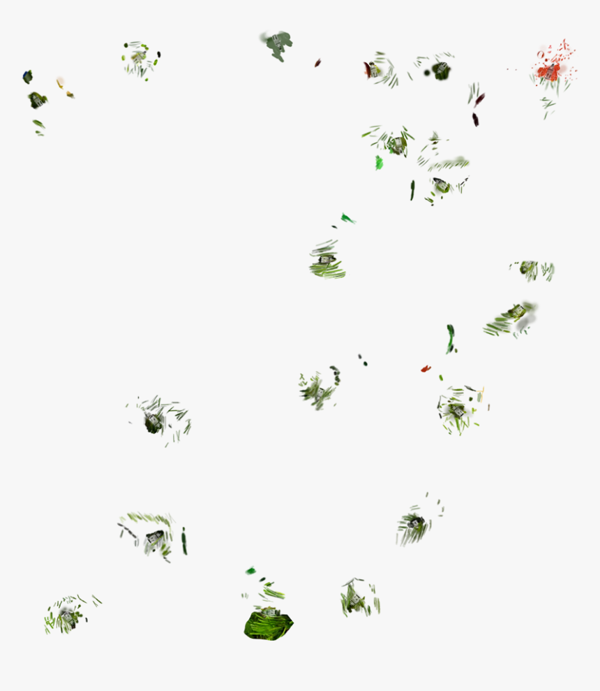 Insect, HD Png Download