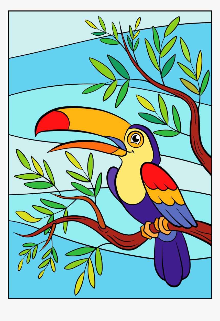 Piciformes, HD Png Download