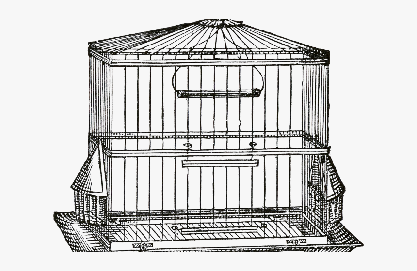 Drawn Birdcage Transparent - Birdcage, HD Png Download