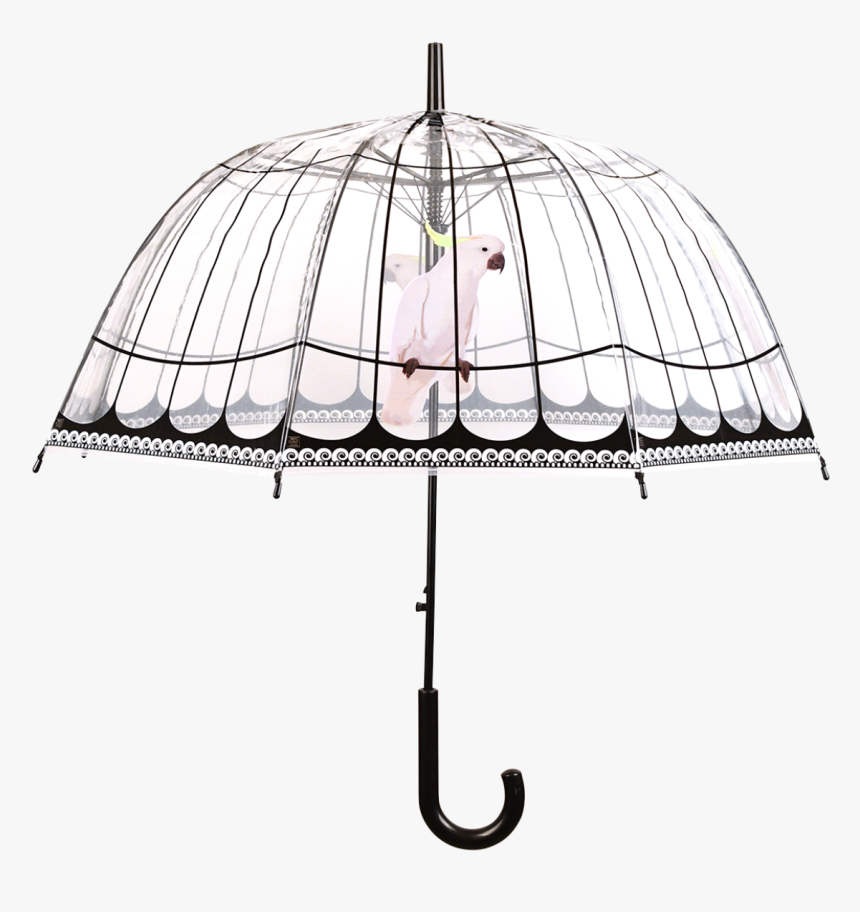Umbrella Transparent Birdcage - Umbrella, HD Png Download