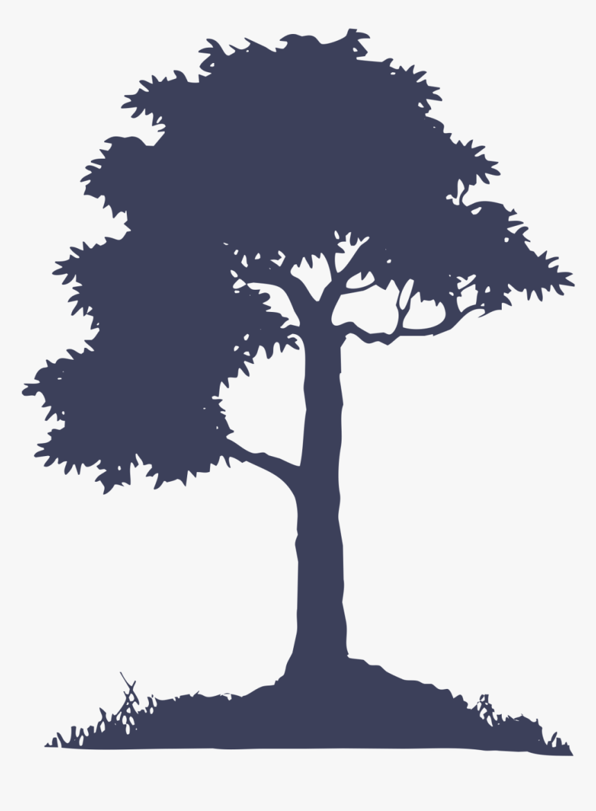 Save The Rainforest Poster Art, HD Png Download