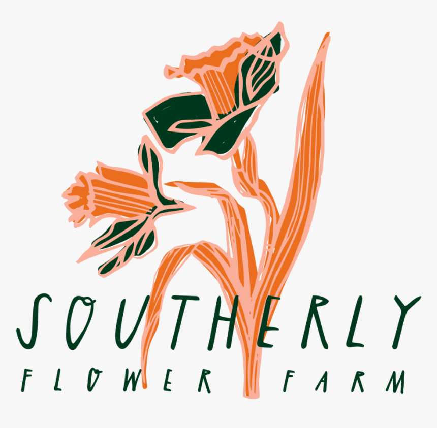 Sff Main - Graphic Design, HD Png Download